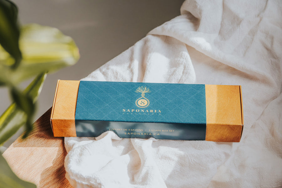 Soap trio the adventurer