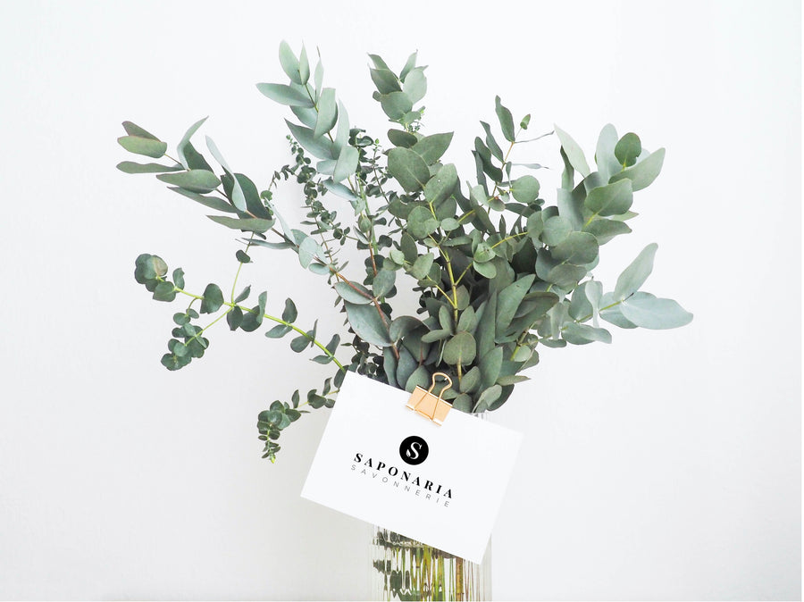 Electronic Gift Card