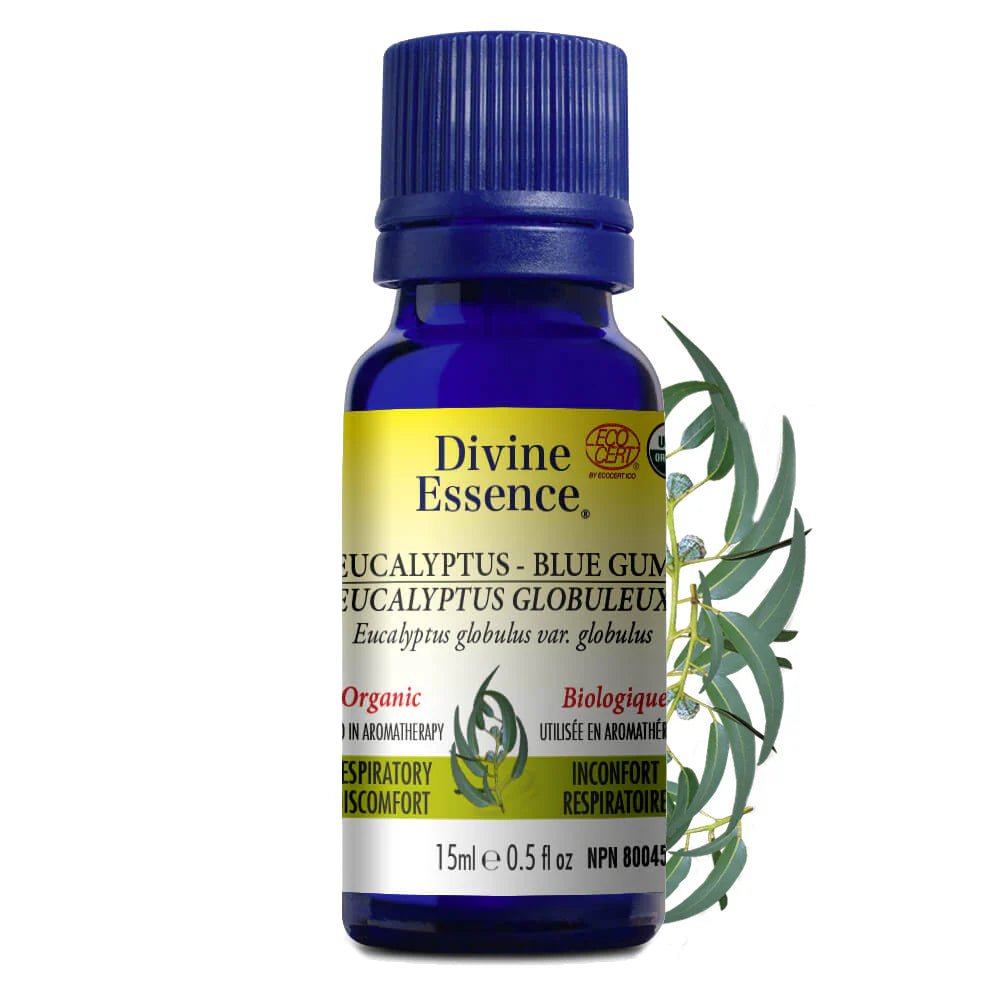 Eucalyptus Globuleux Biologique, Huile Essentielle - Savonnerie Saponaria