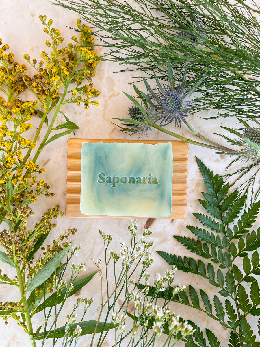 Savon – Feuille de tomate - Savons - Savonnerie Saponaria