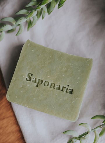 Soap - Cucumber & cilantro